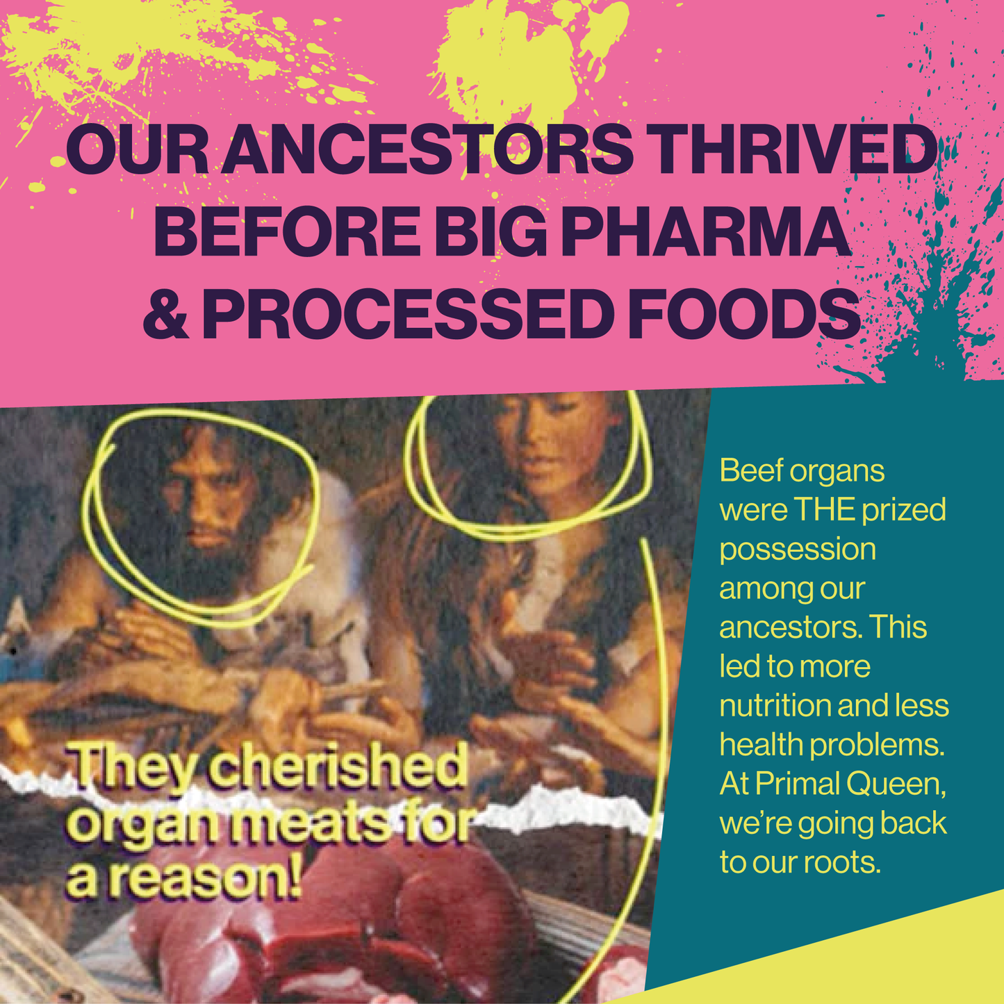 Primal Queen Beef Organ Superfood - 30 Day Supply (One Time Purchase)